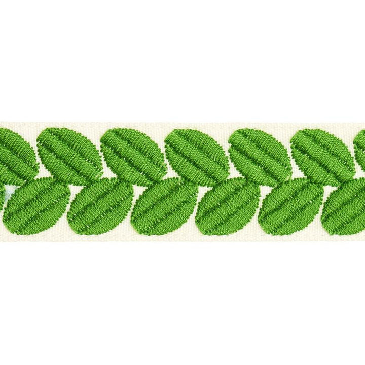 Berkeley Tape Narrow Leaf 79913 by Schumacher Designer Trim Happy Together Ii - Swanky Fabrics -