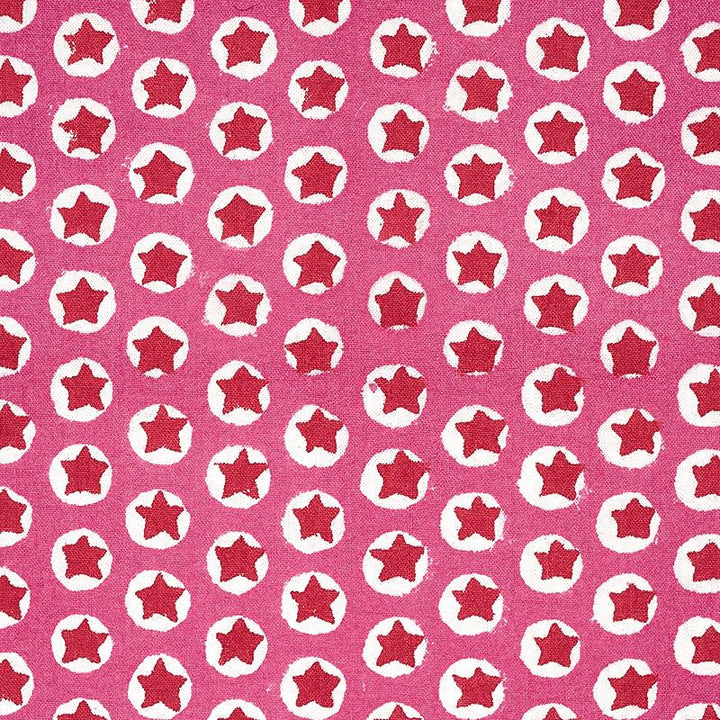 Tuk Tuk Hand Block Print Pink 179220 by Schumacher Designer Fabric Molly Mahon 1.0" - Swanky Fabrics -