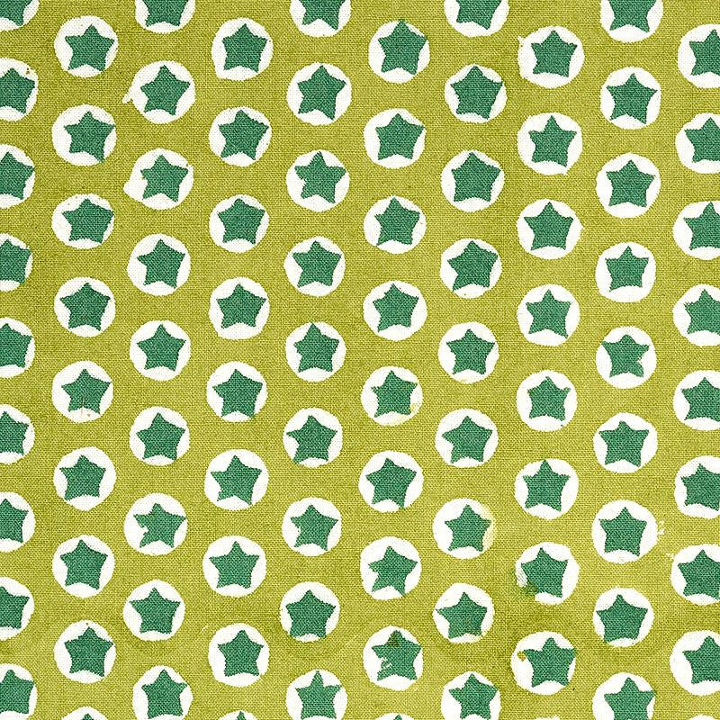 Tuk Tuk Hand Block Print Green 179223 by Schumacher Designer Fabric Molly Mahon 1.0" - Swanky Fabrics -