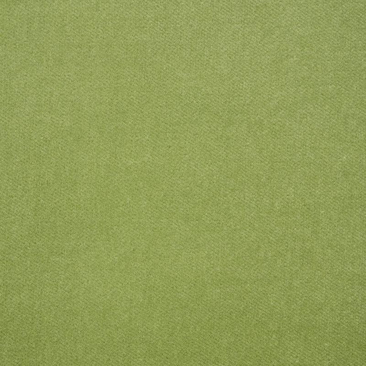Rocky Performance Velvet Aloe 70575 by Schumacher Designer Fabric Perfect Basics: Velvet - Swanky Fabrics -