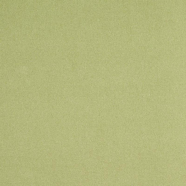 Albert Performance Cotton Green 77810 by Schumacher Designer Fabric Perfect Basics: Cotton - Swanky Fabrics -