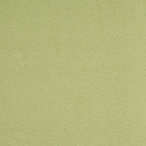 Albert Performance Cotton Green 77810 by Schumacher Designer Fabric