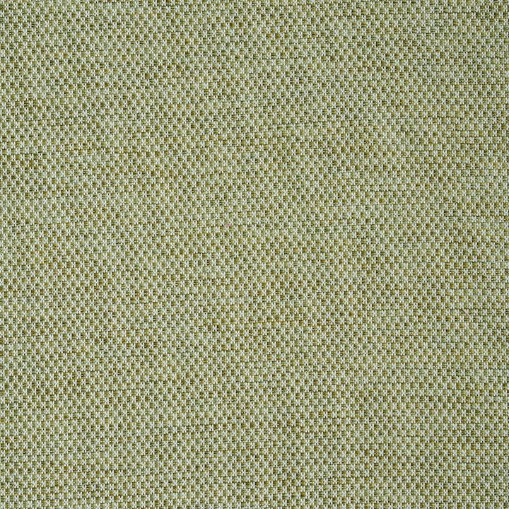 Momo Hand Woven Texture Fern 78933 by Schumacher Designer Fabric A Rum Fellow - Swanky Fabrics -