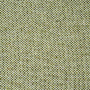 Momo Hand Woven Texture Fern 78933 by Schumacher Designer Fabric