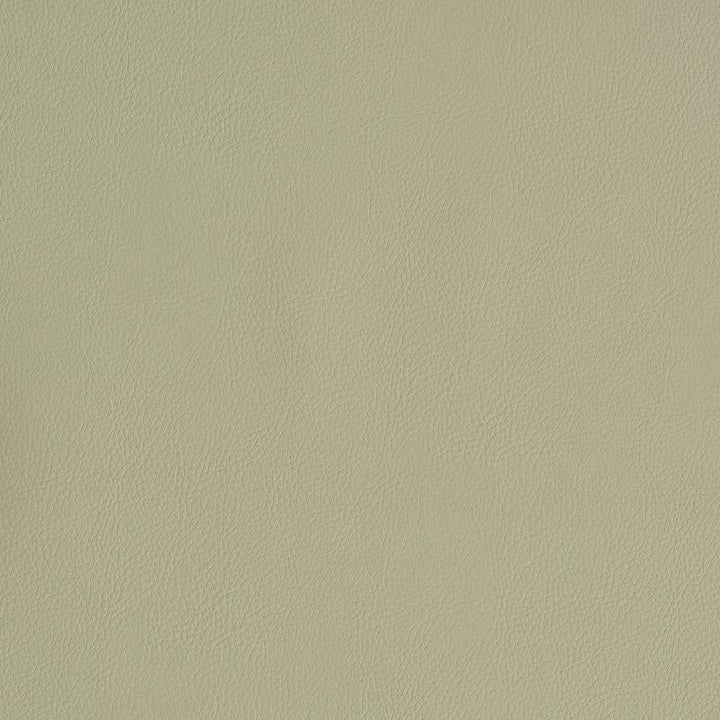Vegan Leather Indoor/Outdoor Dune 79553 by Schumacher Designer Fabric Perfect Basics: Vegan Leather & Suede - Swanky Fabrics -