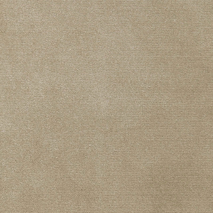 Monaco Performance Velvet Driftwood 65902 by Schumacher Fabric Schumacher Fabric Monaco Performance Velvet Driftwood 65902Fabric SOLUTION DYED ACRYLIC 100% MEXICO </p><p>Repeat: H: , V: 54 - Fabric Carolina -