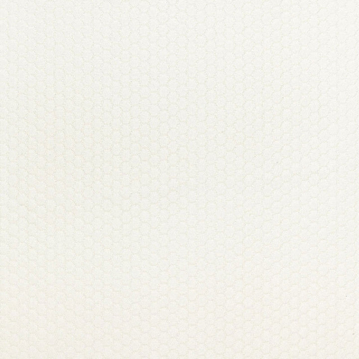 Riviera Matelasse Coconut 65950 by Schumacher Designer Fabric COTE D'AZUR SOLUTION DYED ACRYLIC 100% UNITED STATES OF AMERICA WYZENBEEK 12,000 </p><p>Repeat: Horizontal: 1 1/8" (3CM) and Vertical: 3/4" (2CM) 52.25 - Swanky Fabrics -