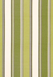 Addison Cotton Stripe Vert 66003 by Schumacher Designer Fabric