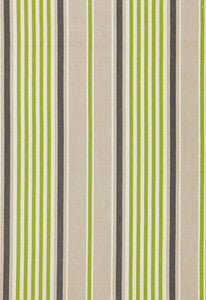 Minzer Cotton Stripe Vert 66012 by Schumacher Designer Fabric