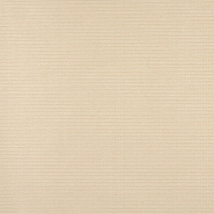 6617 Sand by Charlotte Designer Fabric Outdoor/Indoor Oasis III 100% Woven Polyester Made In USA Exceeds 48,000 Wyzenbeek Rubs (Heavy Duty) </p><p>Repeat: 54 Inches - Swanky Fabrics -