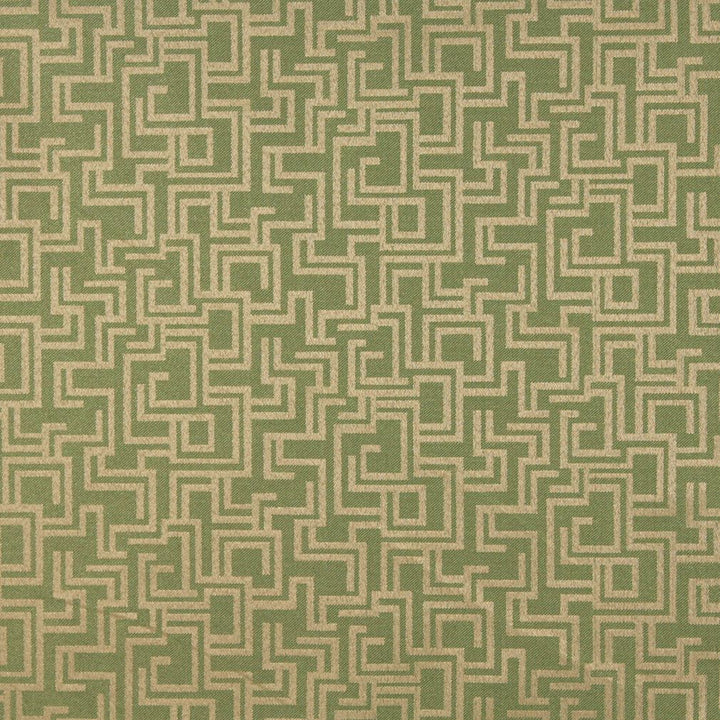 6634 Fern/Geometric by Charlotte Designer Fabric Outdoor/Indoor Oasis III 100% Woven Polyester Made In USA Exceeds 48,000 Wyzenbeek Rubs (Heavy Duty) </p><p>Repeat: Horizontal: 29.0" x Vertical: 10.0" 54 Inches - Swanky Fabrics -