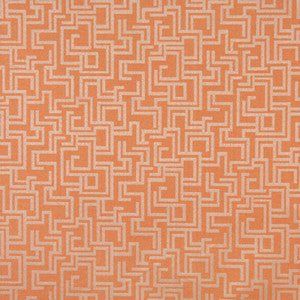 6635 Nectar/Geometric by Charlotte Designer Fabric