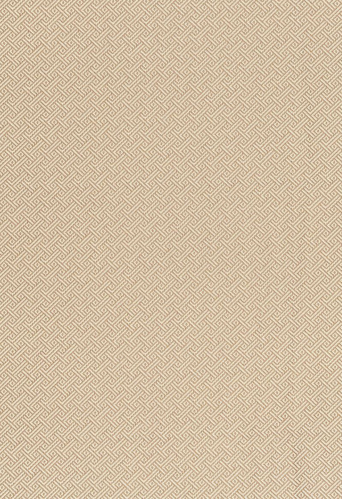 Picard Weave Greige 66411 by Schumacher Designer Fabric Courtrai 100% Trevira Martindale 50,000 Horizontal: 7/8- and Vertical: 7/8- 56.5 - Swanky Fabrics -