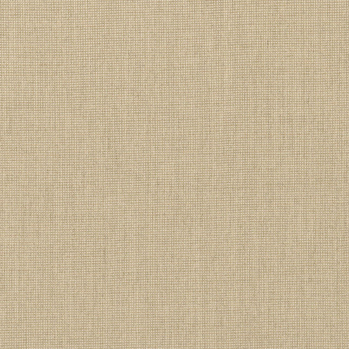 Tournai Weave Chanterelle 66480 by Schumacher Designer Fabric COURTRAI See Sample ITALY MEDIUM DUTY </p><p>Repeat: Horizontal: - and Vertical: - 55" WIDE (140CM) - Swanky Fabrics -