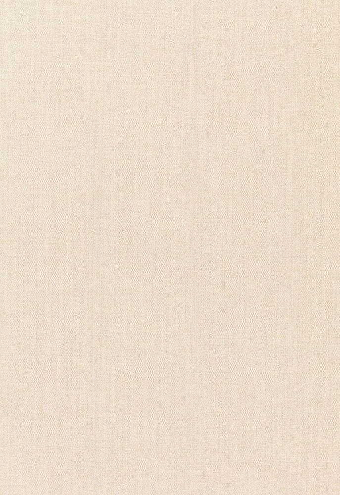 Renaix Chenille Limestone 66540 by Schumacher Designer Fabric Courtrai 100% Trevira Martindale 50,000 Horizontal: - and Vertical: - 55 - Swanky Fabrics -