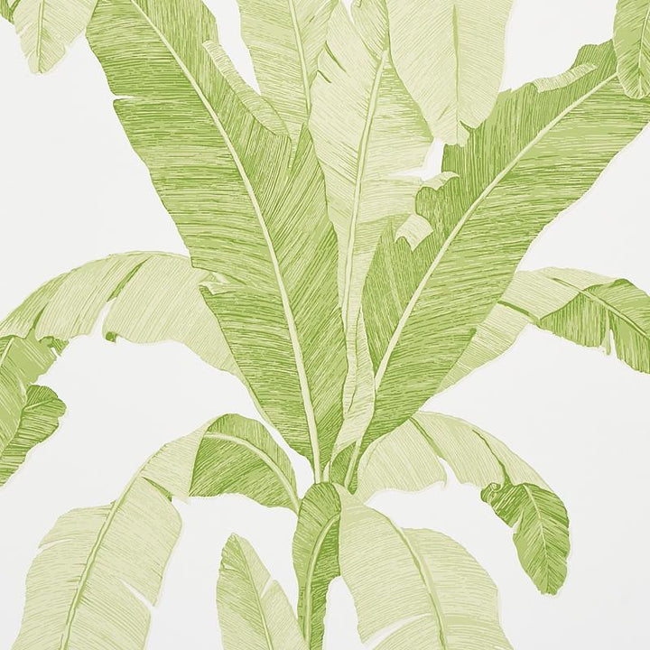Erisimo Leaf 5012110 by Schumacher Designer Wallpaper Copacabana 27.0" - Swanky Fabrics -