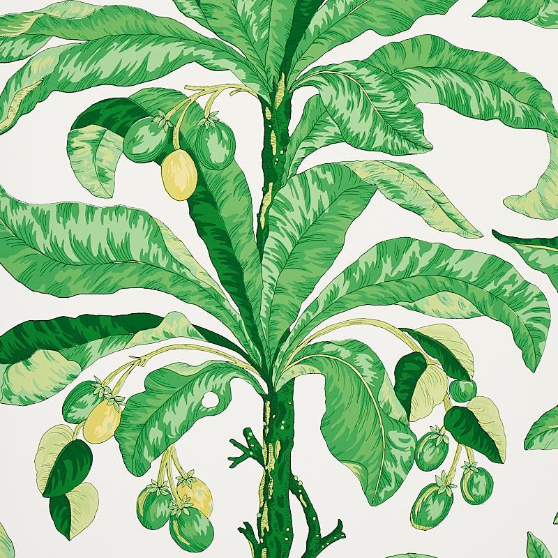 Blair House Palm Green 5004064 by Schumacher Designer Wallpaper Copacabana 27.0" - Swanky Fabrics -