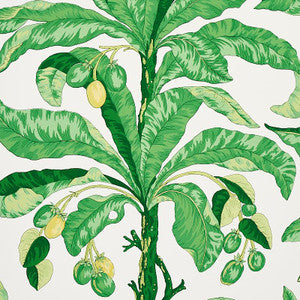 Blair House Palm Green 5004064 by Schumacher Designer Wallpaper