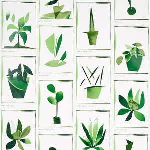 Botanicals Greenhouse 5012691 by Schumacher Designer Wallpaper