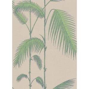 Palm Leaves Taupe/G by Cole & Son Designer Wallcovering