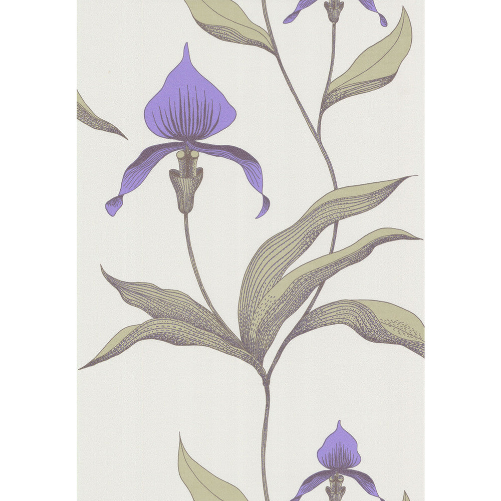 Orchid White/M by Cole & Son Designer Wallcovering COLE & SON NEW CONTEMPORARY PAPER - 100% United Kingdom - Horizontal: 0 and Vertical: 28.5 20.5 - Swanky Fabrics -
