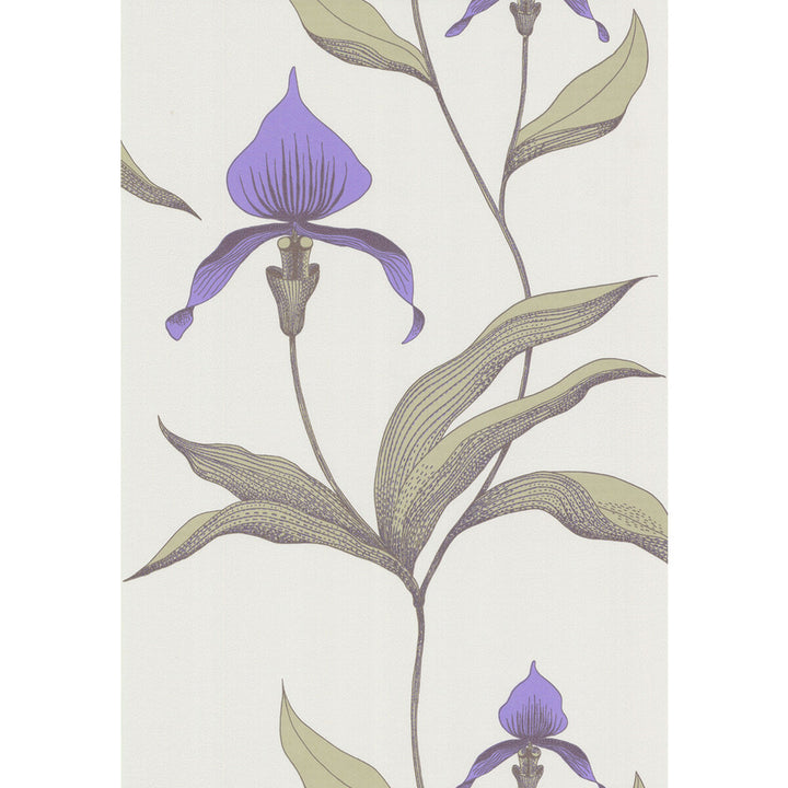 Orchid White/M by Cole & Son Designer Wallcovering COLE & SON NEW CONTEMPORARY PAPER - 100% United Kingdom - Horizontal: 0 and Vertical: 28.5 20.5 - Swanky Fabrics -
