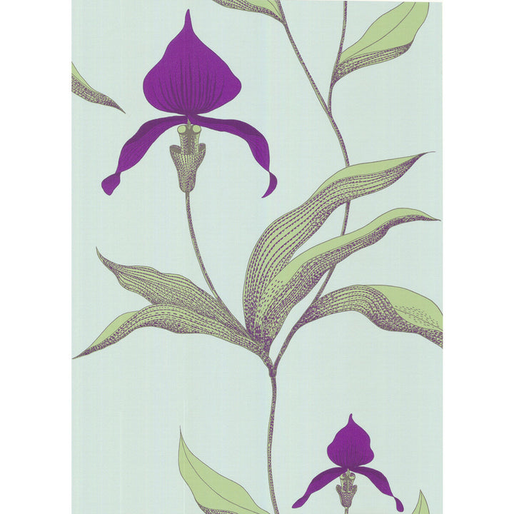 Orchid Turquoi by Cole & Son Wallcovering Cole & Son Wallcovering Orchid TurquoiWallcovering COLE & SON NEW CONTEMPORARY PAPER - 100% United Kingdom </p><p>Repeat: H: 0, V: 28.5 20.5 - Fabric Carolina -