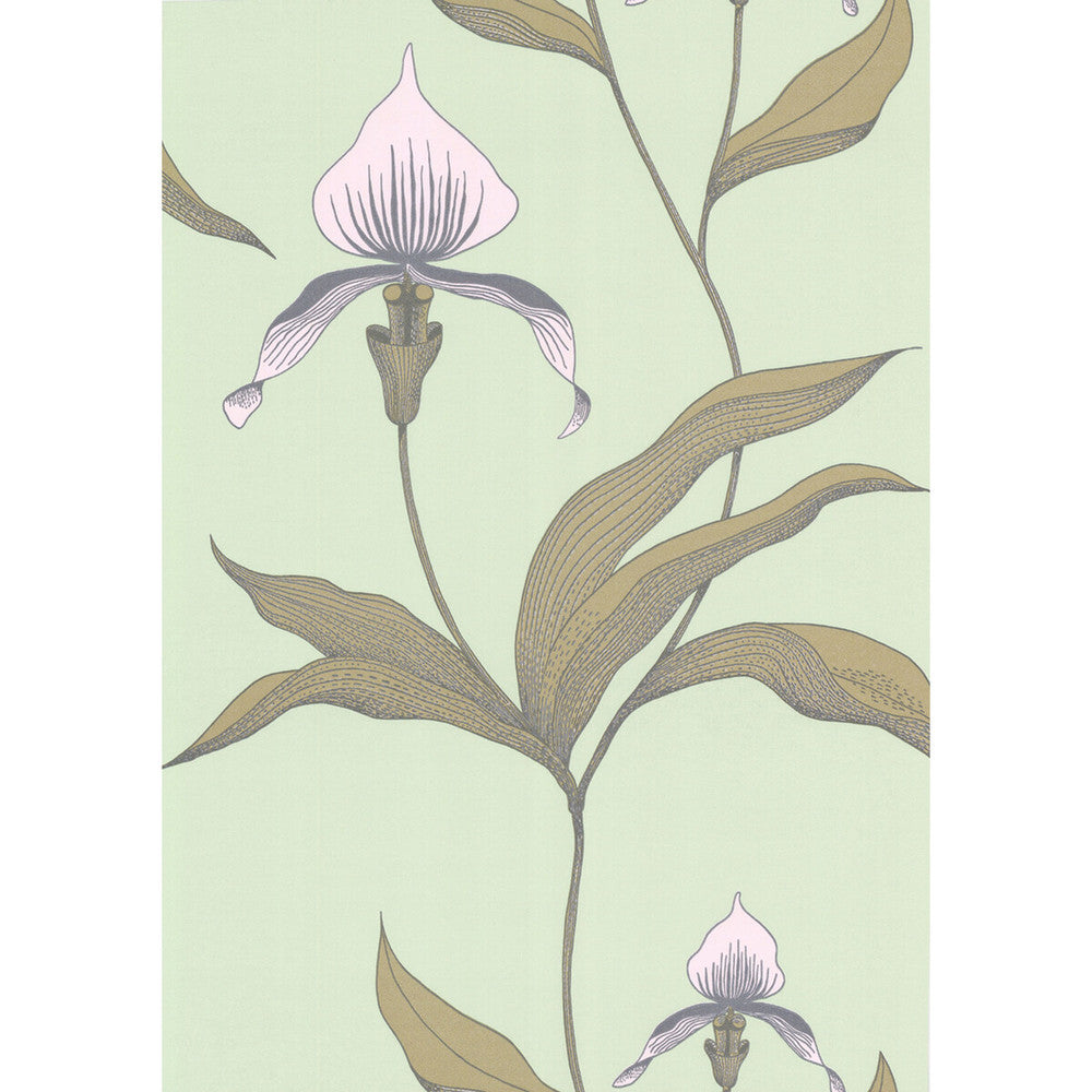 Orchid Pale Gr by Cole & Son Designer Wallcovering COLE & SON NEW CONTEMPORARY PAPER - 100% United Kingdom Horizontal: 0 and Vertical: 28.5 20.5 - Swanky Fabrics -