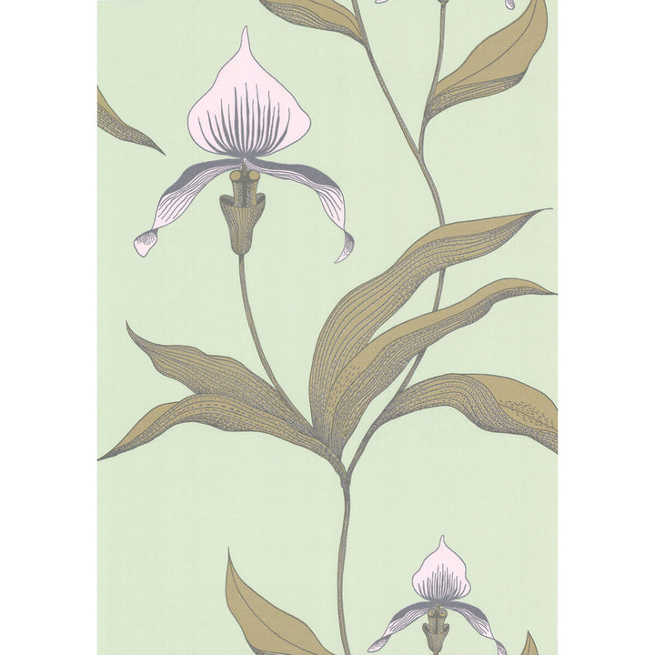 Orchid Pale Gr by Cole & Son Wallcovering Cole & Son Wallcovering Orchid Pale GrWallcovering COLE & SON NEW CONTEMPORARY PAPER - 100% United Kingdom </p><p>Repeat: H: 0, V: 28.5 20.5 - Fabric Carolina -