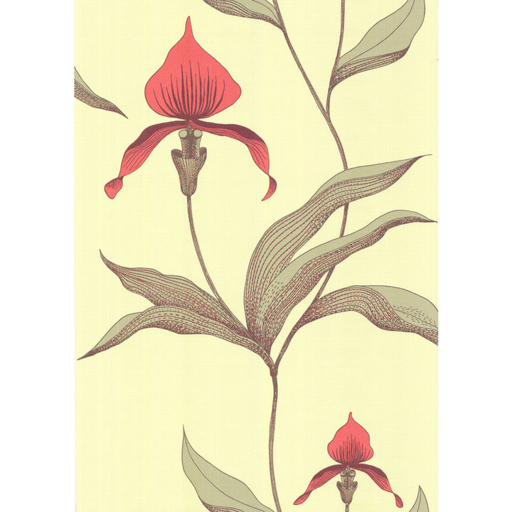Orchid Lime/Or by Cole & Son Designer Wallcovering COLE & SON NEW CONTEMPORARY PAPER - 100% United Kingdom Horizontal: 0 and Vertical: 28.5 20.5 - Swanky Fabrics -