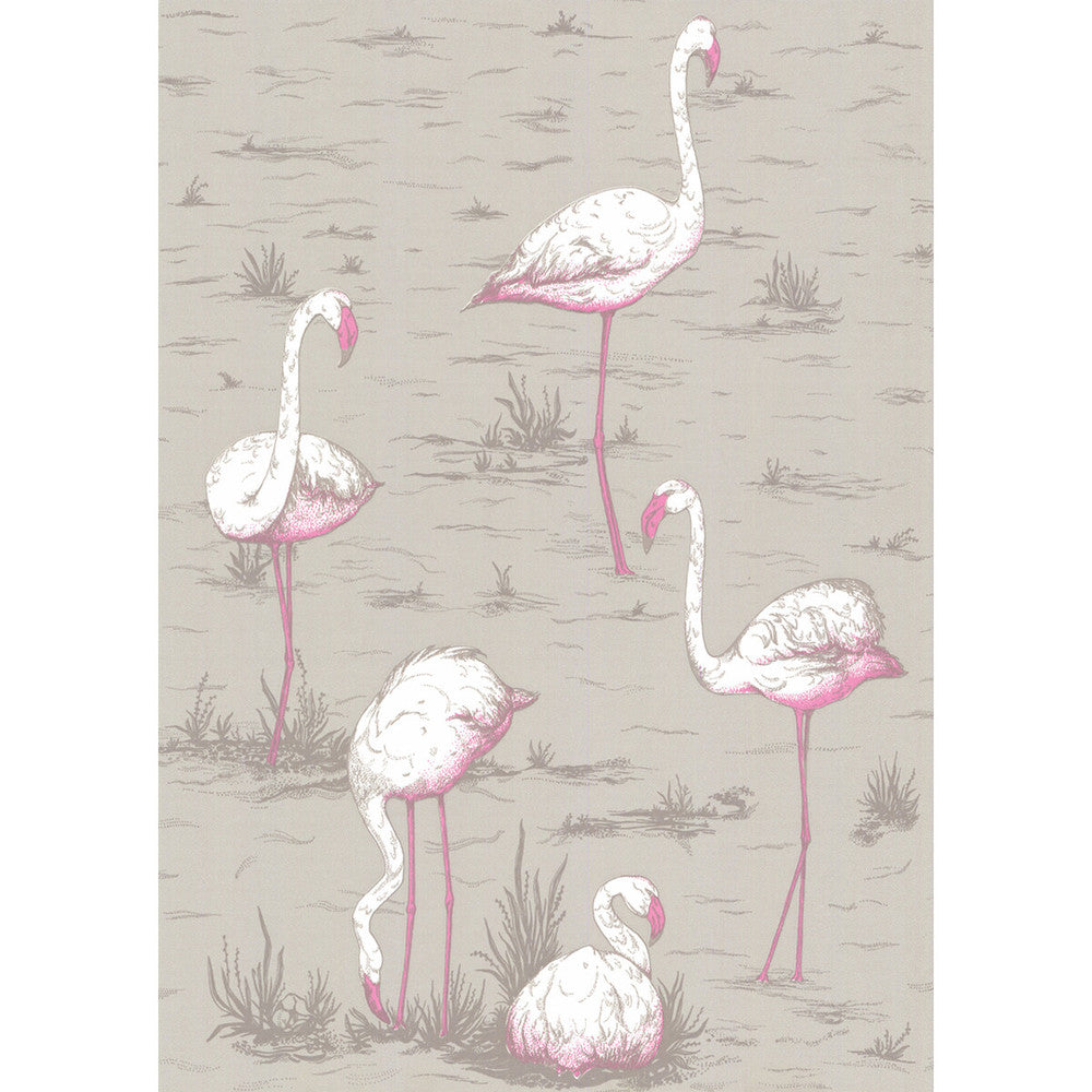 Flamingos Grey by Cole & Son Wallcovering Cole & Son Wallcovering Flamingos GreyWallcovering COLE & SON NEW CONTEMPORARY PAPER - 100% United Kingdom </p><p>Repeat: H: 21, V: 27.5 21 - Fabric Carolina -