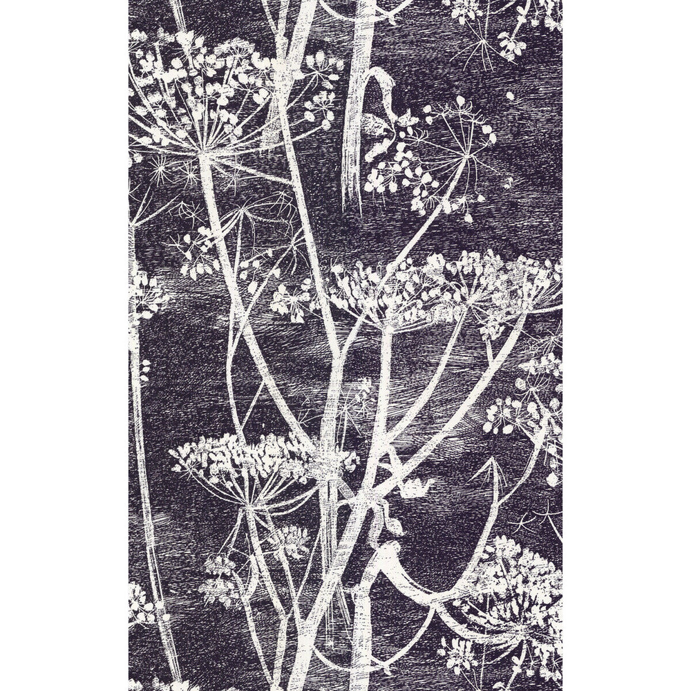 Cow Parsley White/Blk by Cole & Son Designer Wallcovering COLE & SON NEW CONTEMPORARY PAPER - 100% United Kingdom Horizontal: 21 and Vertical: 30 21 - Swanky Fabrics -