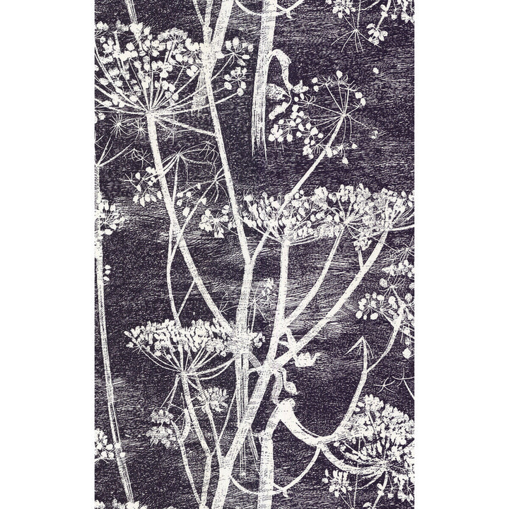 Cow Parsley White/Blk by Cole & Son Designer Wallcovering COLE & SON NEW CONTEMPORARY PAPER - 100% United Kingdom Horizontal: 21 and Vertical: 30 21 - Swanky Fabrics -
