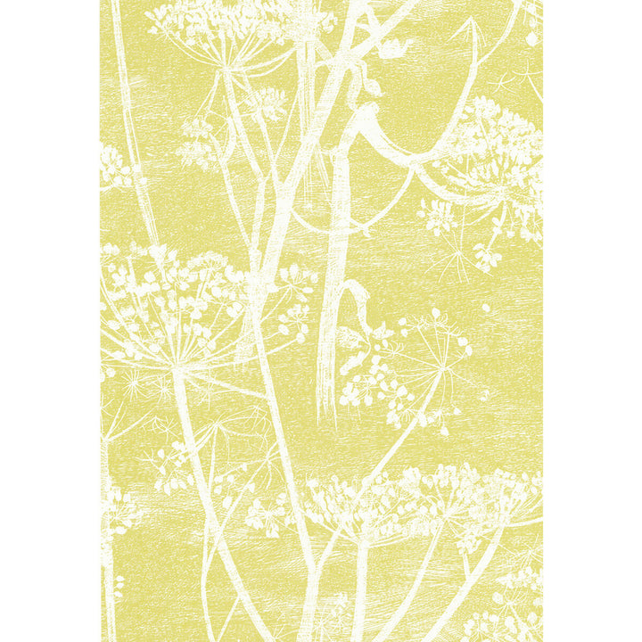 Cow Parsley White/Y by Cole & Son Designer Wallcovering COLE & SON NEW CONTEMPORARY PAPER - 100% United Kingdom Horizontal: 21 and Vertical: 30 21 - Swanky Fabrics -