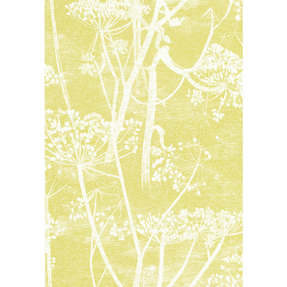 Cow Parsley White/Y by Cole & Son Designer Wallcovering COLE & SON NEW CONTEMPORARY PAPER - 100% United Kingdom - Horizontal: 21 and Vertical: 30 21 - Swanky Fabrics -