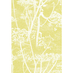 Cow Parsley White/Y by Cole & Son Designer Wallcovering