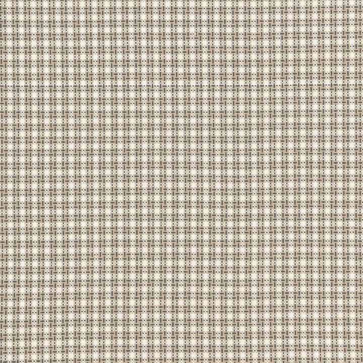 Abington Square Ash 67000 by Schumacher Designer Fabric CHROMA See Sample INDIA . </p><p>Repeat: Horizontal: 1 1/2" (4CM) and Vertical: 1 1/2" (4CM) 53" WIDE (135CM) - Swanky Fabrics -