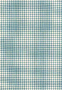 Abington Square Capri 67002 by Schumacher Designer Fabric