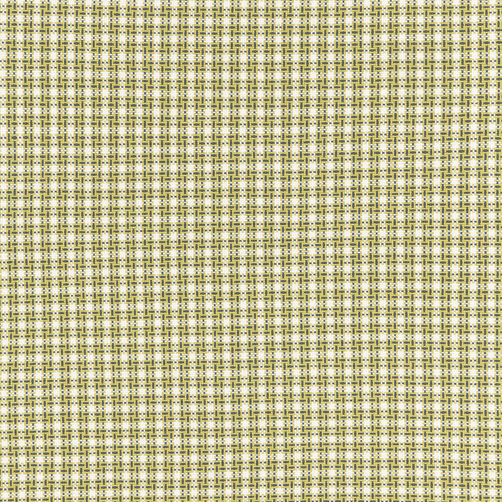 Abington Square Citron 67004 by Schumacher Fabric Schumacher Fabric Abington Square Citron 67004Fabric COTTON 100% INDIA </p><p>Repeat: H: HORZ. 1 1/2" (4CM) , V: VERT. 1 1/2" (4CM) 53 - Fabric Carolina -