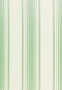 Carnegie Cotton Stripe Robin'S Egg 67023 by Schumacher Designer Fabric