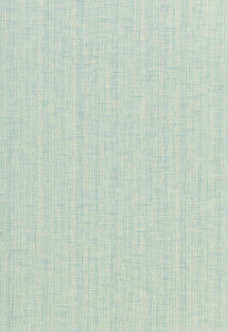 Montauk Weave Capri 67030 by Schumacher Designer Fabric