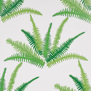 Canyon Ferns Jungle 5012621 by Schumacher Designer Wallpaper