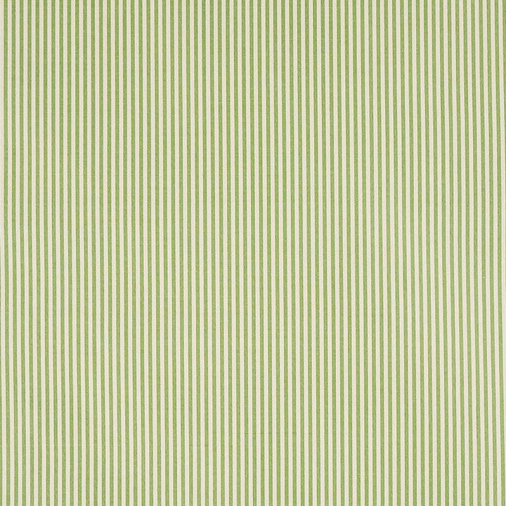 Charee Silk Stripe Green 60925 by Schumacher Designer Fabric New Traditional - Swanky Fabrics -