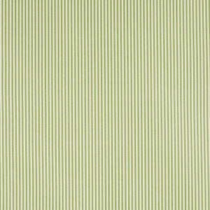 Charee Silk Stripe Green 60925 by Schumacher Designer Fabric