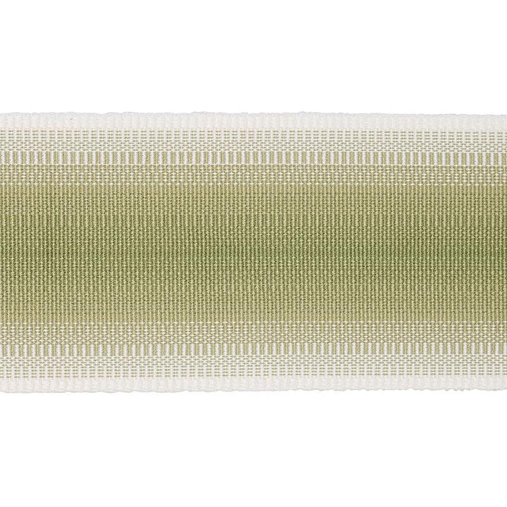 Belton Tape Green 75596 by Schumacher Designer Trim New Traditional - Swanky Fabrics -