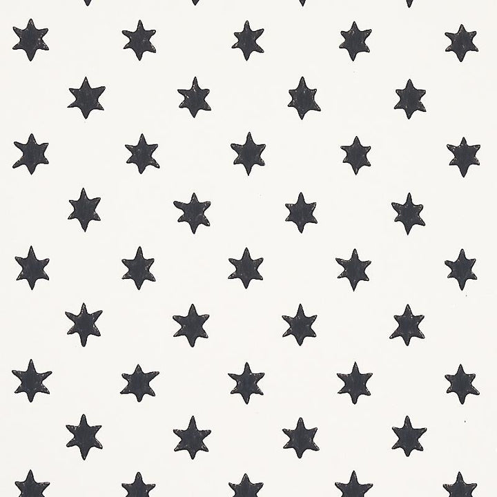 Astral Black 5013140 by Schumacher Designer Wallpaper Hobe Erwin 9.0" - Swanky Fabrics -