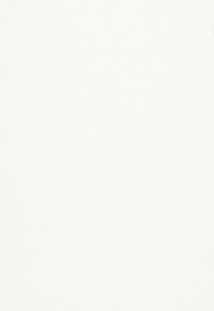 Desert Weave Blanc 67295 by Schumacher Designer Fabric Au-Naturel 100% Linen Martindale 12,000 Horizontal: - and Vertical: - 54.25 - Swanky Fabrics -