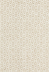 Gobi Sheer Ivoire 67310 by Schumacher Designer Fabric