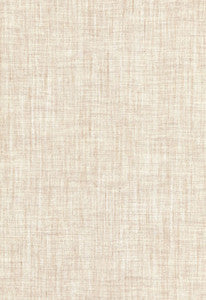 Alpine Sheer Stone 67460 by Schumacher Designer Fabric