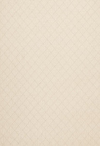 Archipelago Flax 67470 by Schumacher Designer Fabric